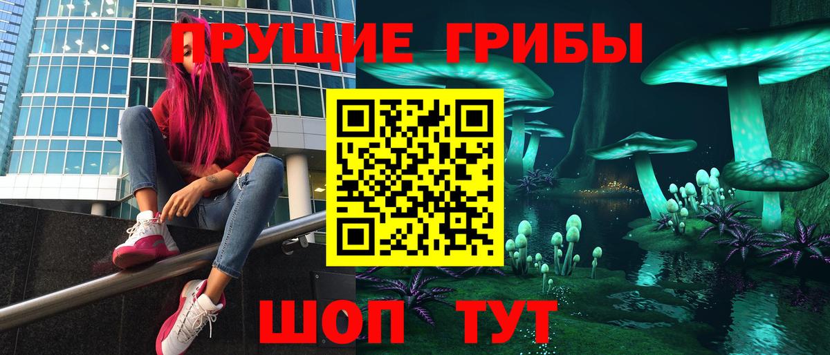 Галлюциногенные грибы прущие грибы Курчалой