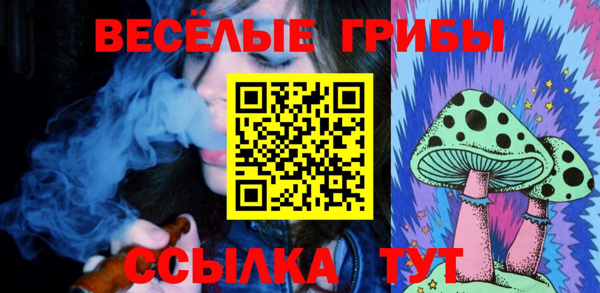 Галлюциногенные грибы Курчалой
