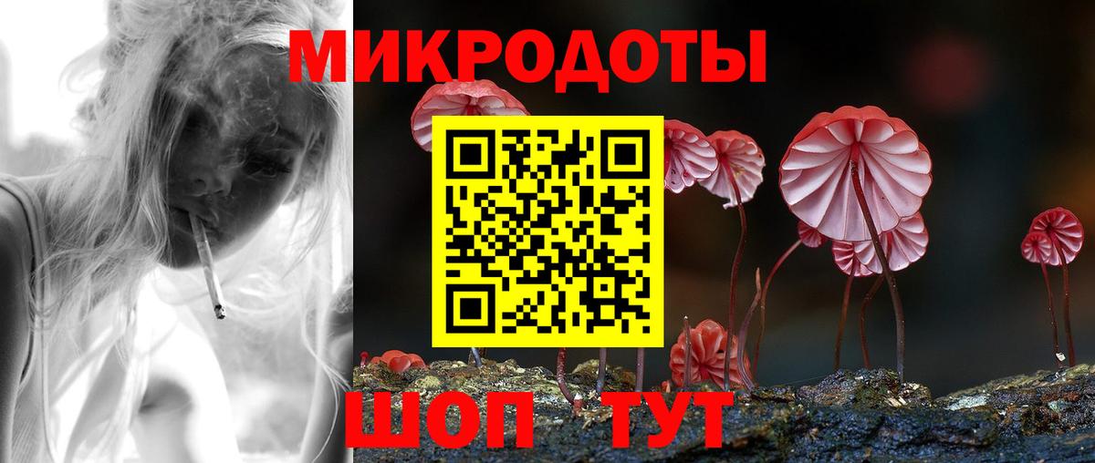 Курчалой  купить наркотик  Вход с VPN  Галлюциногенные грибы ЛСД  Галлюциногенные грибы Magic Shrooms 