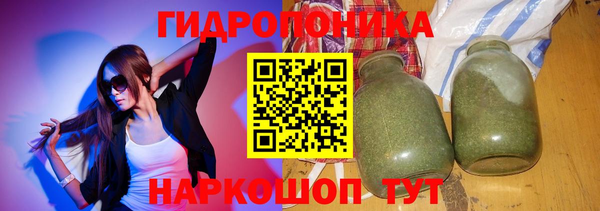 Конопля марихуана Курчалой